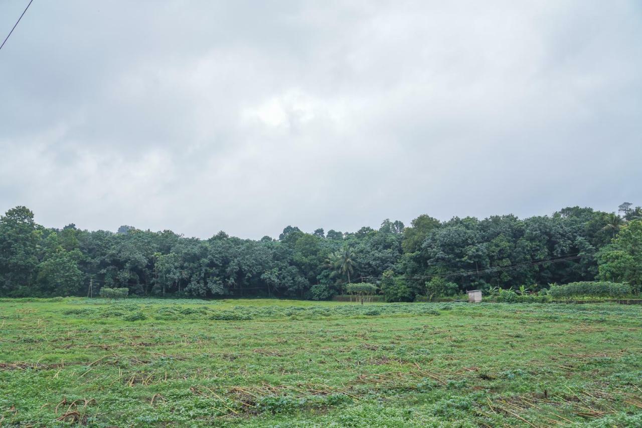 Thanal Premium Villa By - A Place To Call Your Home Muvattupuzha Esterno foto